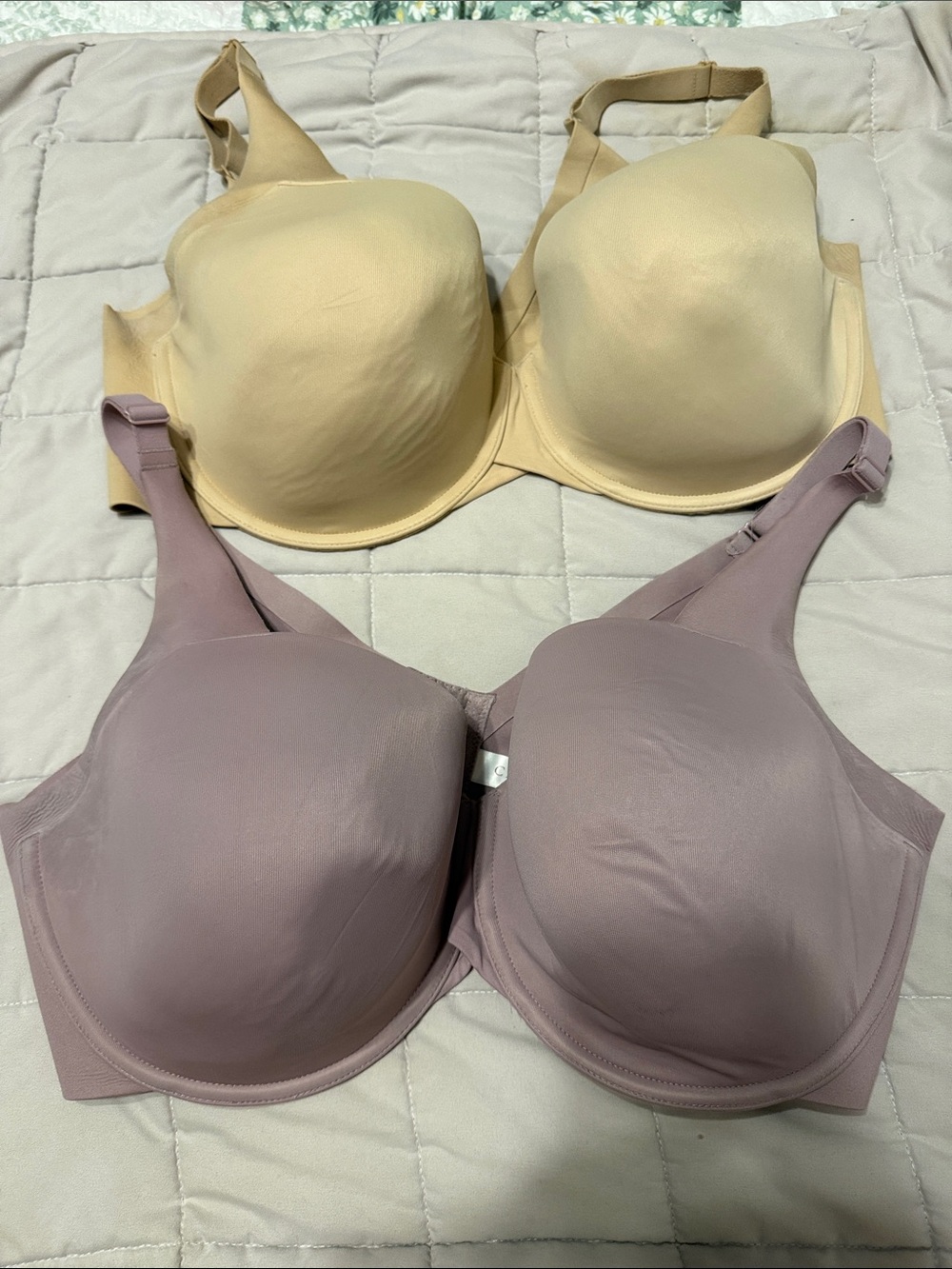 Cacique Seamless  lightly lined balconette bras in Cream and Mauve